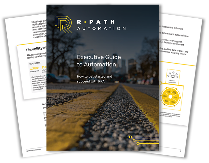 RPath_executive_guide